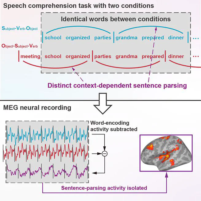 Low-frequency cortical activity reflects context-dependent parsing of word sequences