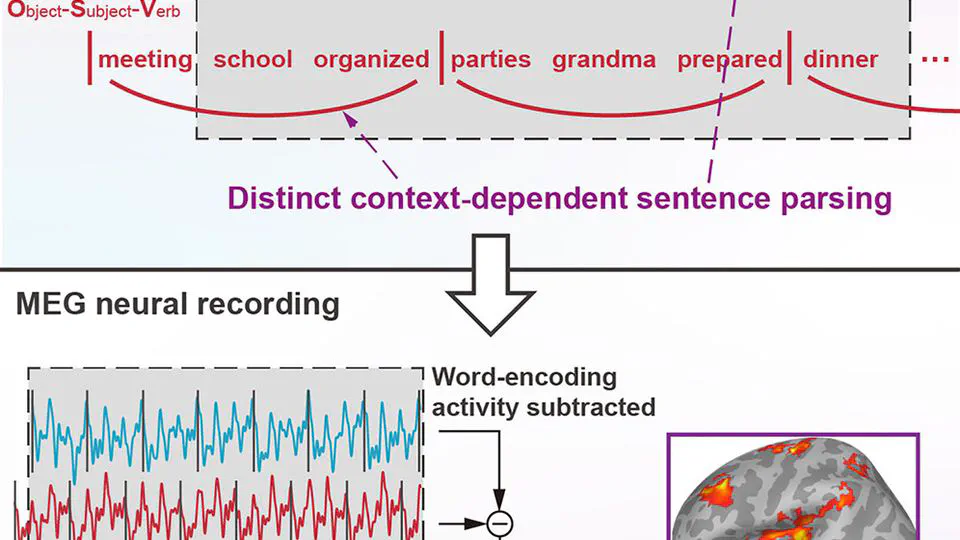Low-frequency cortical activity reflects context-dependent parsing of word sequences